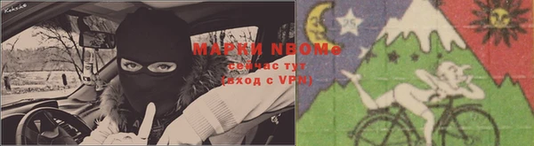 молекула духа Чегем
