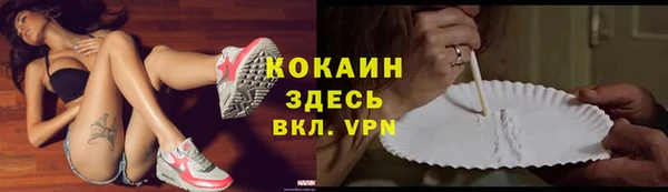 ПСИЛОЦИБИНОВЫЕ ГРИБЫ Костерёво
