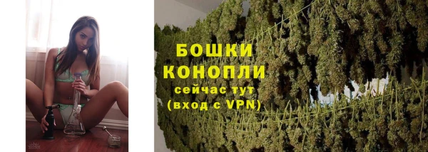 ПСИЛОЦИБИНОВЫЕ ГРИБЫ Костерёво