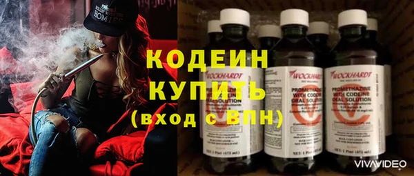 ПСИЛОЦИБИНОВЫЕ ГРИБЫ Костерёво