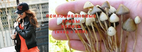 MDMA Коряжма