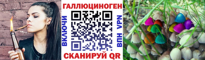 Галлюциногенные грибы Magic Shrooms  Купить где  Гусь-Хрустальный 